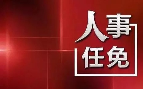 中央最新人事任免，蔡某某的新職務(wù)與未來(lái)展望