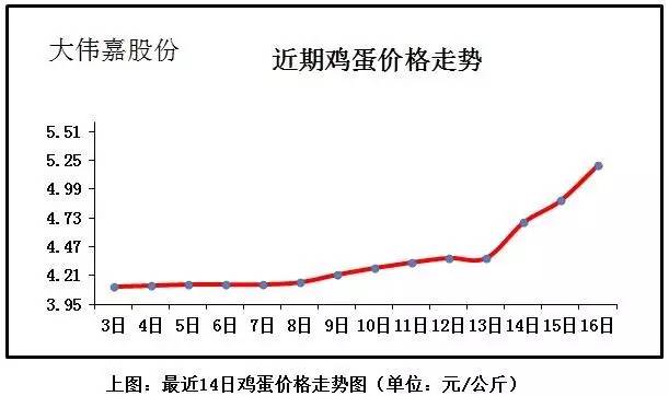 全國(guó)最新雞蛋價(jià)格行情分析