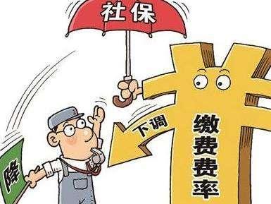 上海最新社?；鶖?shù)