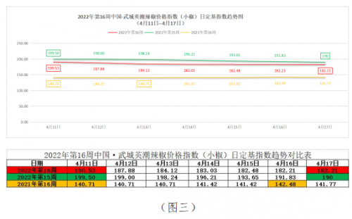 鮮線椒價格最新行情分析